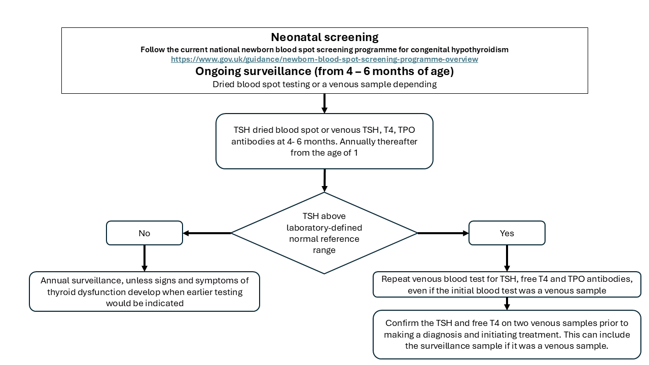 Thyroid Neonatal Screening