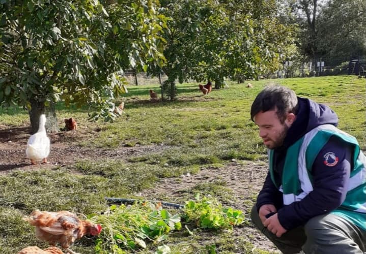 What to Expect: Adulthood