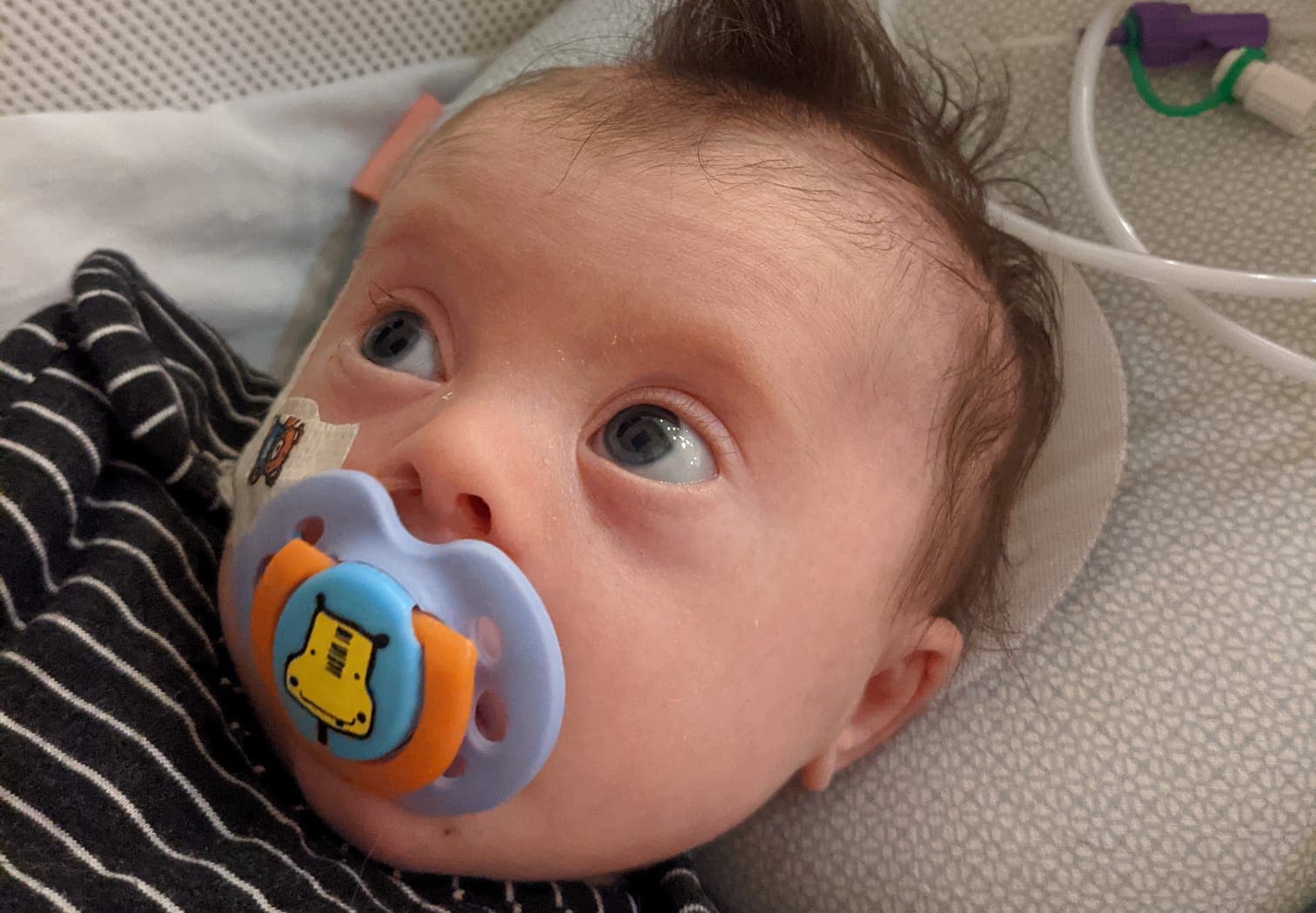 What to Expect: First Few Weeks